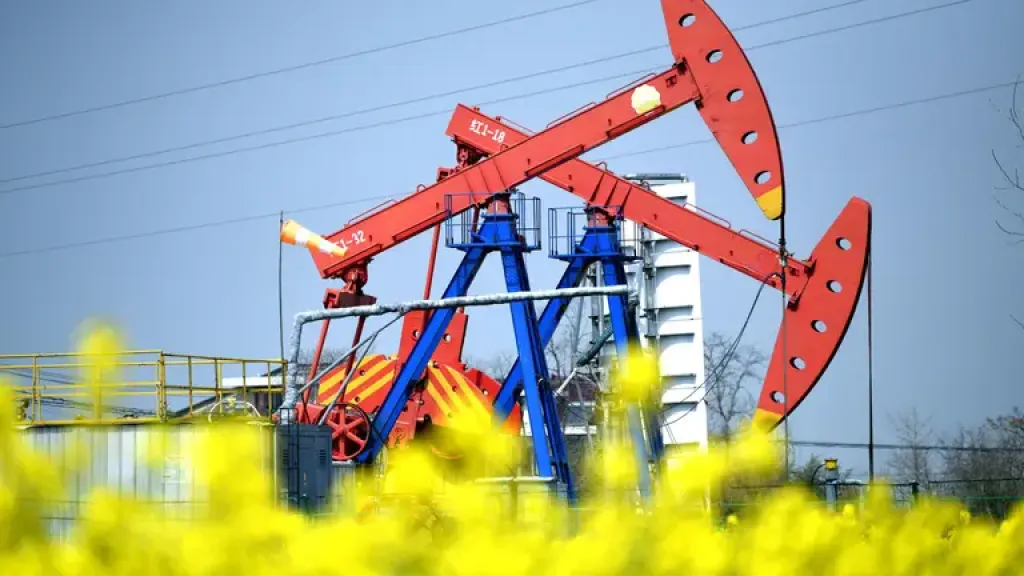 Російська нафта зросла в експорті: нові маршрути та цінові зміни