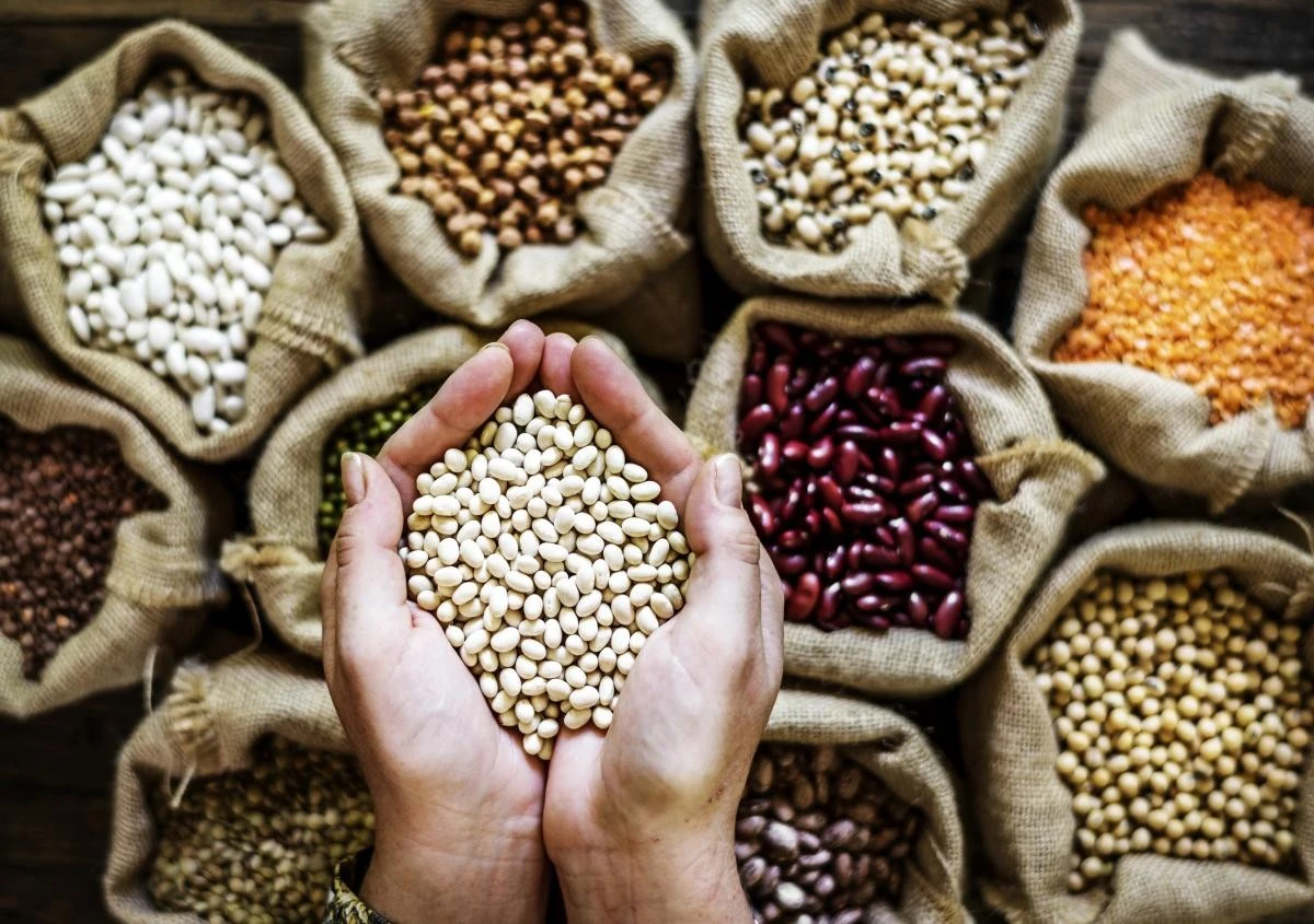 Альтернатива квасолі: продукти, що допоможуть легко набрати норму клітковини